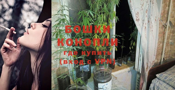 спайс Рославль