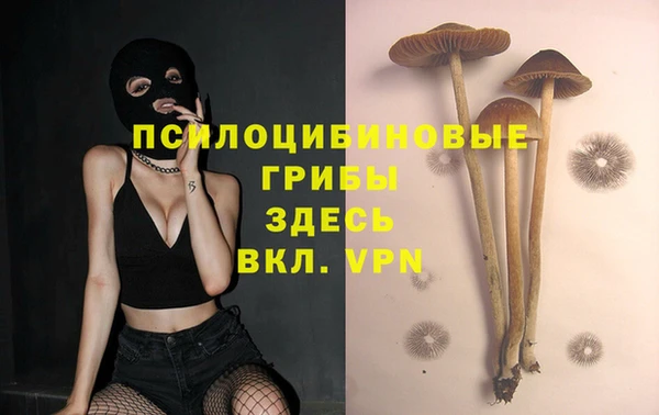 первитин Протвино