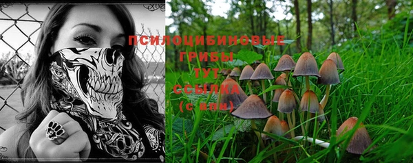 стафф Пролетарск