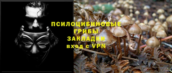 гашиш Галич